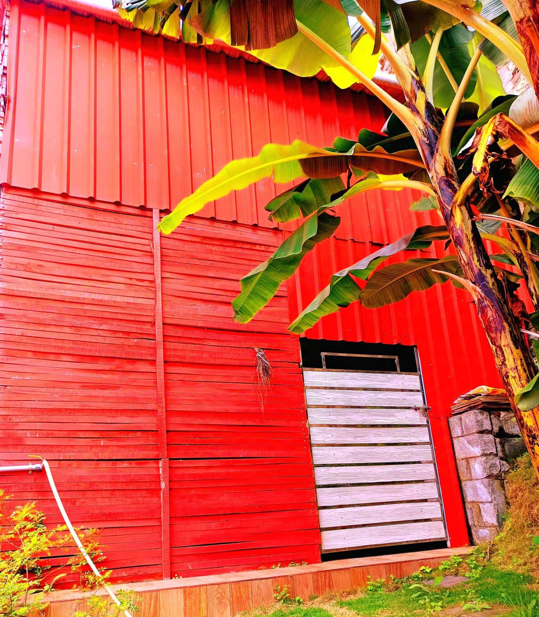 Kodai Riya Paradise Kodaikanal Exteriör bild