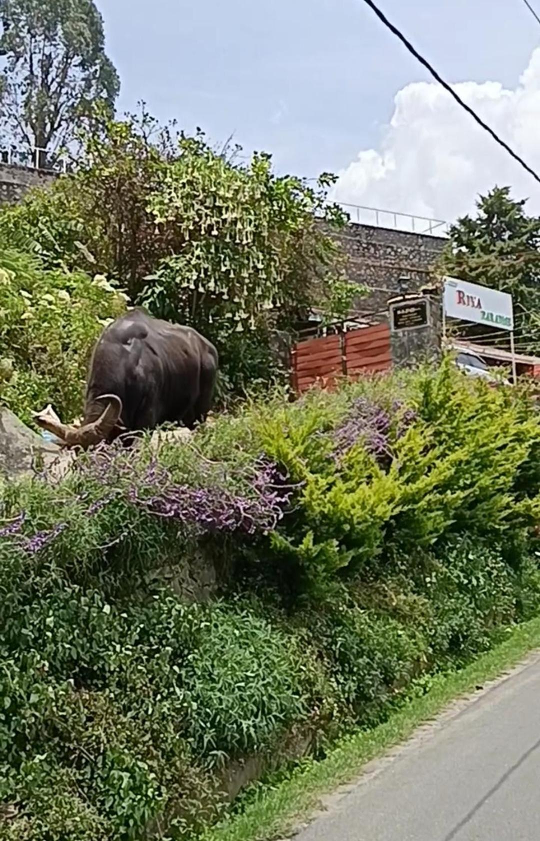 Kodai Riya Paradise Kodaikanal Exteriör bild